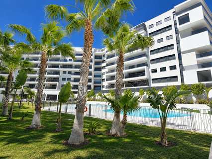 Planta baja en venta en Orihuela zona Orihuela-Costa