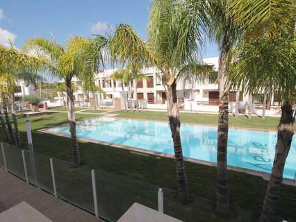 Apartamento en alquiler de temporada en Torrevieja zona Torrevieja