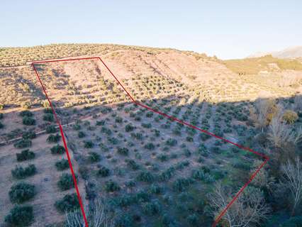 Parcela rústica en venta en Calicasas