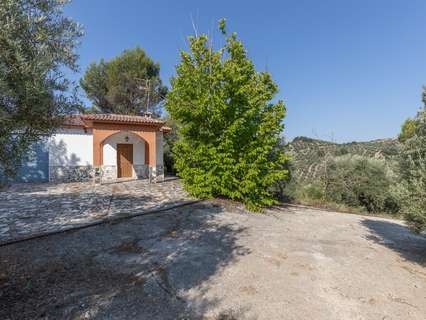 Parcela rústica en venta en Montefrío rebajada