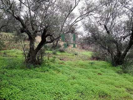 Parcela rústica en venta en Sierra de Fuentes