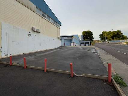 Parcela rústica en alquiler en Alicante