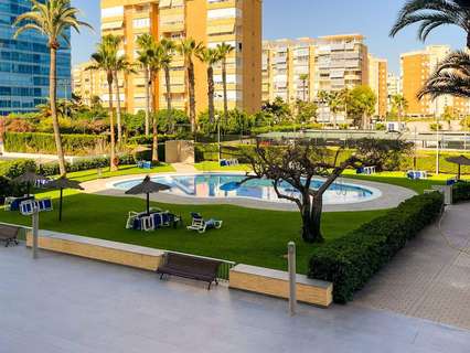 Piso en alquiler en Alicante