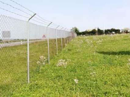 Parcela rústica en venta en Alcalá del Río