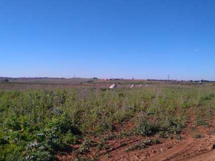Parcela rústica en venta en Alcalá de Guadaíra rebajada