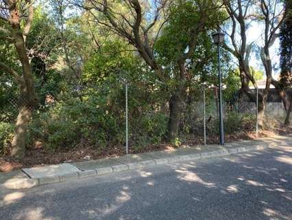 Parcela rústica en venta en Umbrete rebajada