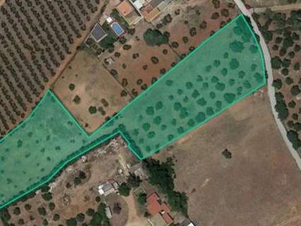 Parcela rústica en venta en Dos Hermanas