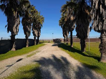 Parcela rústica en venta en Utrera