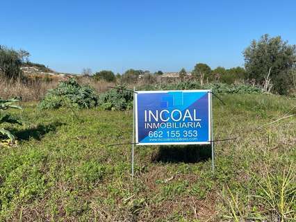 Parcela rústica en venta en Albaida