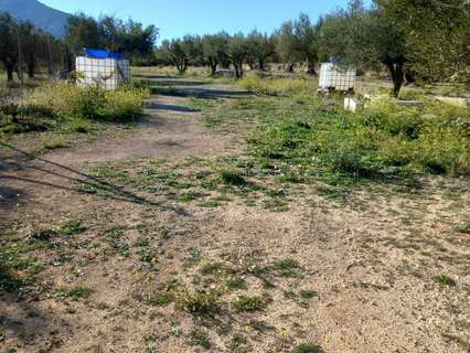 Parcela rústica en venta en Quatretonda