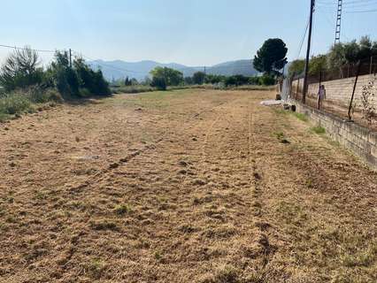 Parcela rústica en venta en Albaida