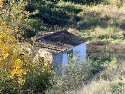 Parcela rústica en venta en Albaida