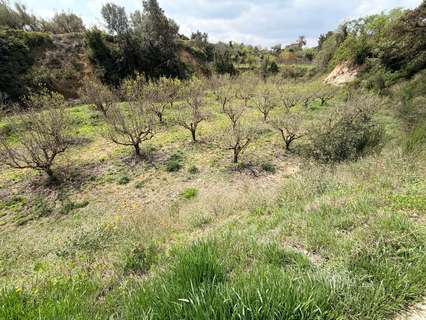 Parcela rústica en venta en Benissoda