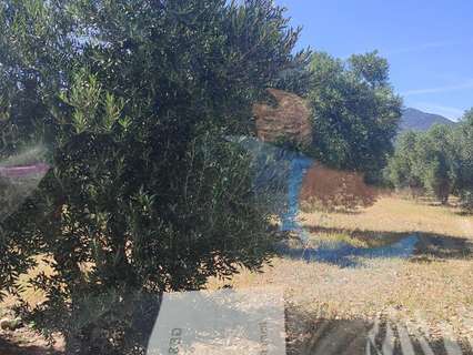 Parcela rústica en venta en Cantallops rebajada