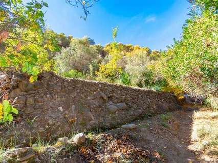 Parcela en venta en Canillas de Albaida