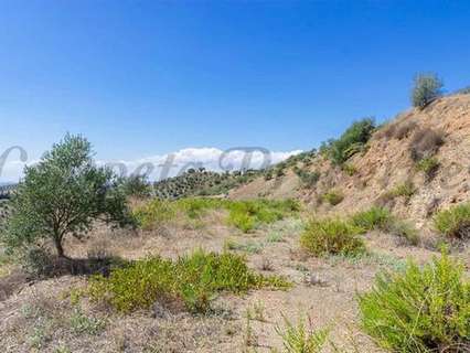 Parcela en venta en Canillas de Albaida