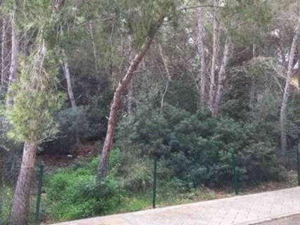 Parcela en venta en Calvià Sol de Mallorca