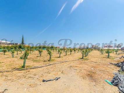 Parcela en venta en Algarrobo