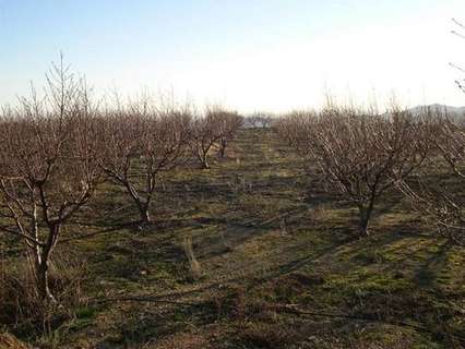 Parcela en venta en Canillas de Albaida