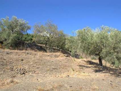 Parcela en venta en Canillas de Albaida