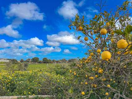 Cortijo en venta en Llucmajor
