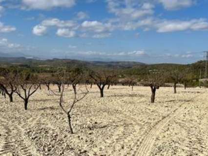 Parcela en venta en Bullas
