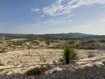 Parcela en venta en Orihuela