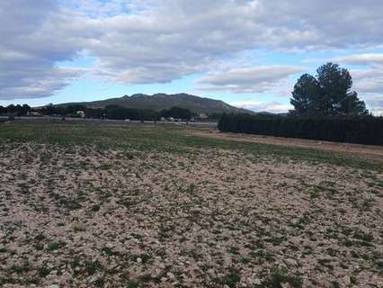 Parcela en venta en Yecla