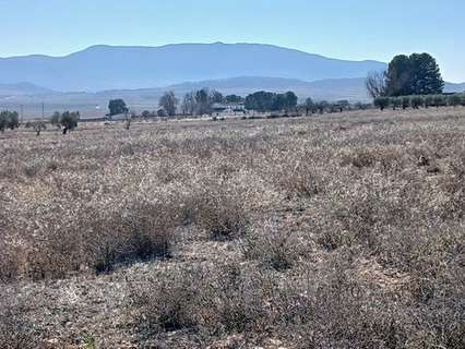 Parcela en venta en Yecla