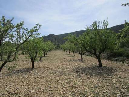 Parcela en venta en Yecla