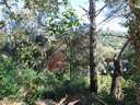 Parcela en venta en Calonge