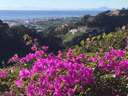 Casa en venta en Estepona
