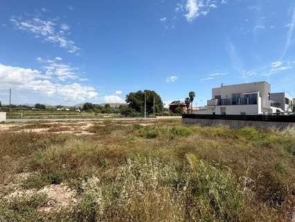 Parcela rústica en venta en Elche/Elx zona Torrellano