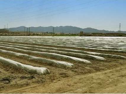 Parcela en venta en Cuevas del Almanzora