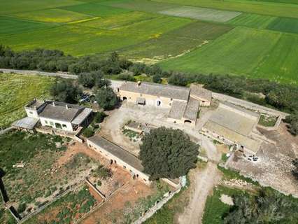 Cortijo en venta en Felanitx