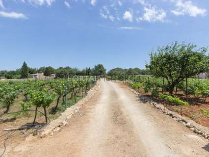 Casa en venta en Sant Lluís