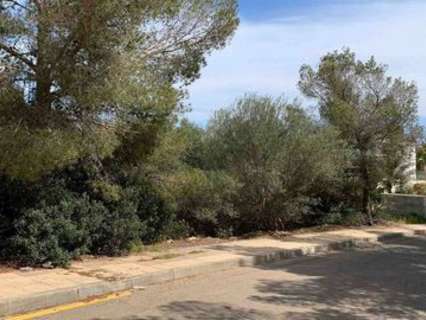 Parcela en venta en Calvià Sol de Mallorca