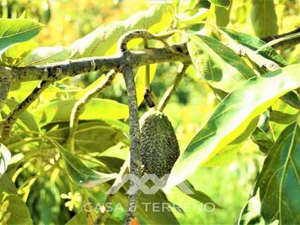 Parcela en venta en Canillas de Aceituno