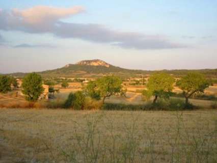 Parcela en venta en Sineu