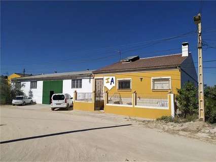 Chalet en venta en Rute