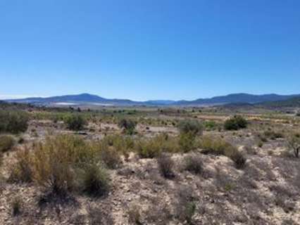 Parcela en venta en Monóvar/Monòver