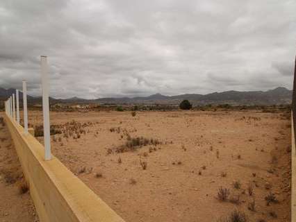 Parcela en venta en Abanilla