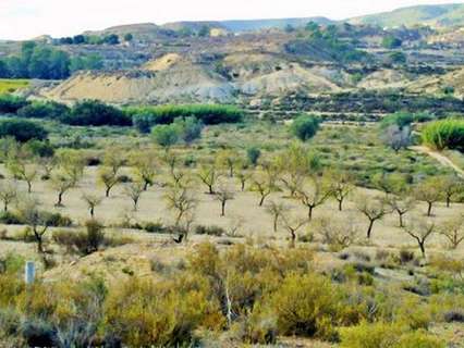 Parcela en venta en Orihuela