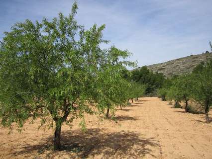Parcela en venta en Yecla