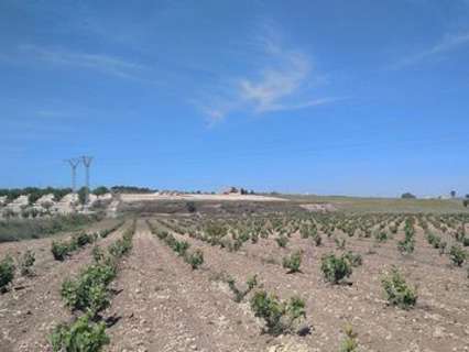 Villa en venta en El Pinós/Pinoso