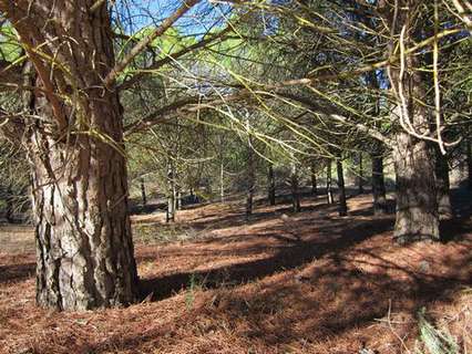 Parcela en venta en Yecla