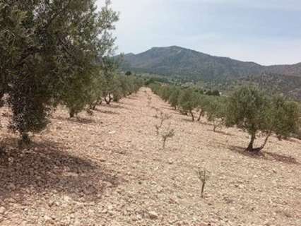 Parcela en venta en Salinas