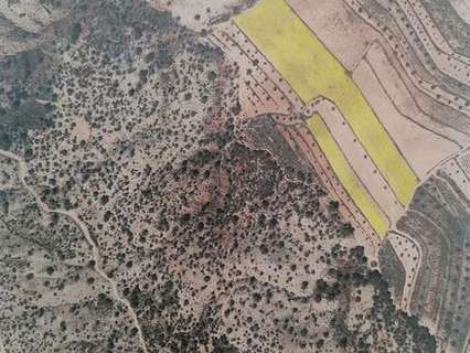 Parcela en venta en El Pinós/Pinoso