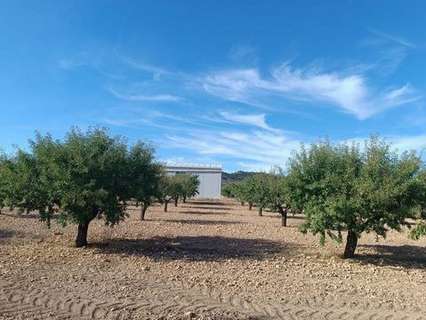 Parcela en venta en Yecla