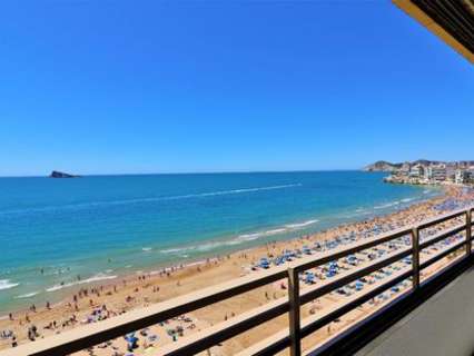 Apartamento en alquiler de temporada en Benidorm